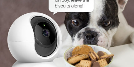 Kamerë WiFi TP-Link Tapo C210 3MP 2K me rrotullim 360°, shikim natën, Motion Detection, audio me dy drejtime, mbështetje për kartë microSD deri në 512GB, kontroll nga aplikacioni Tapo, kompatibile me Google Assistant dhe Amazon Alexa, ideale për monitorimin e shtëpisë dhe biznesit në Shqipëri. 